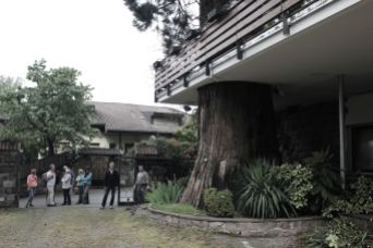 Sequoie d'Italia ~ Il curioso abito di cemento costruito attorno al tronco d'una sequoia al Park Hotel di Merano (BZ).