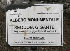 Sequoie d'Italia ~ Cartello di tutela, sequoie di frazione Allegrezze, Val d'Aveto (GE).